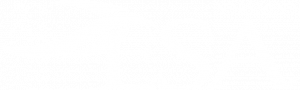 elite swimming academy logo
